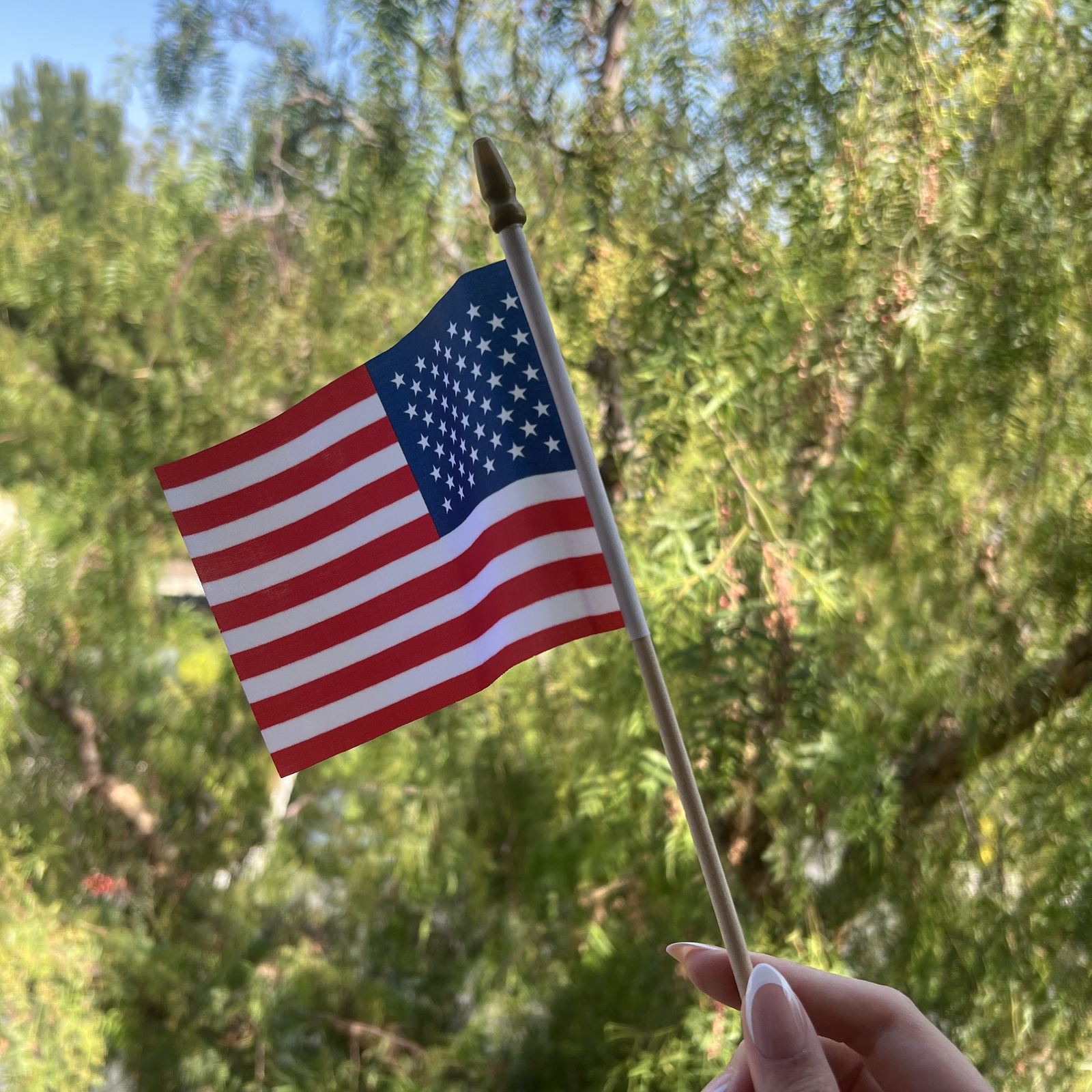 Mini American Flags Flag