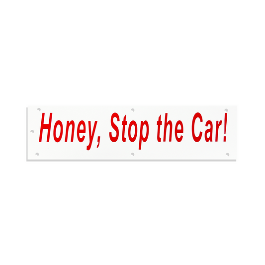 Rider | Honey, Stop the Car! Rider   