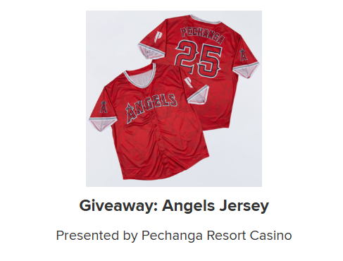 Ticket to YPN Angels Game | 2025 Ticket